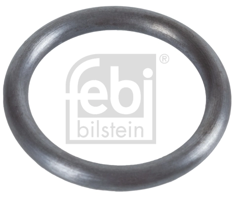 Seal, injector holder